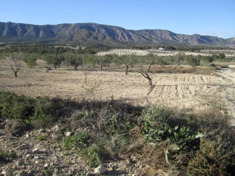 7 bedroom Finca/Country House for sale in Salinas - € 625,000 (Ref: 10060420)