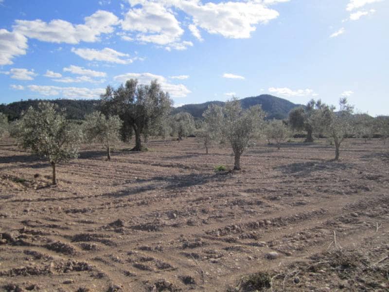7 bedroom Finca/Country House for sale in Salinas - € 625,000 (Ref: 10060420)