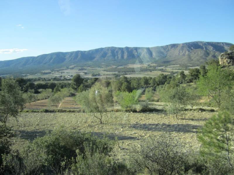 7 bedroom Finca/Country House for sale in Salinas - € 625,000 (Ref: 10060420)