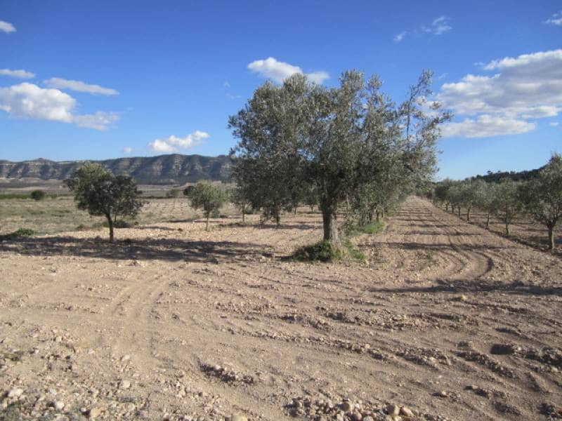 7 bedroom Finca/Country House for sale in Salinas - € 625,000 (Ref: 10060420)