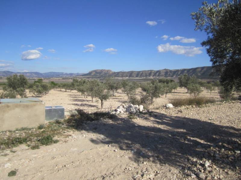 7 bedroom Finca/Country House for sale in Salinas - € 625,000 (Ref: 10060420)