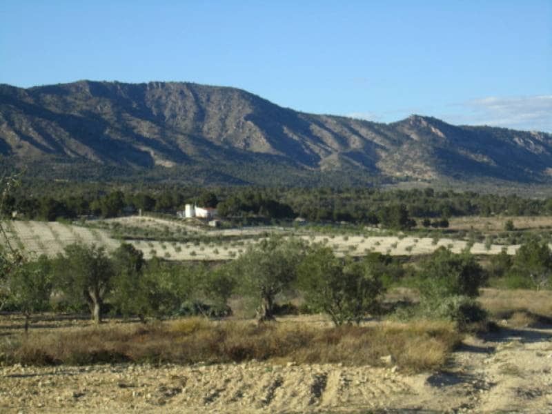 7 bedroom Finca/Country House for sale in Salinas - € 625,000 (Ref: 10060420)