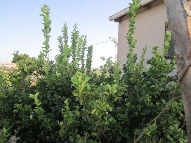 Terrain à Bâtir à vendre à Novelda - 110 000 € (Ref: 10060422)
