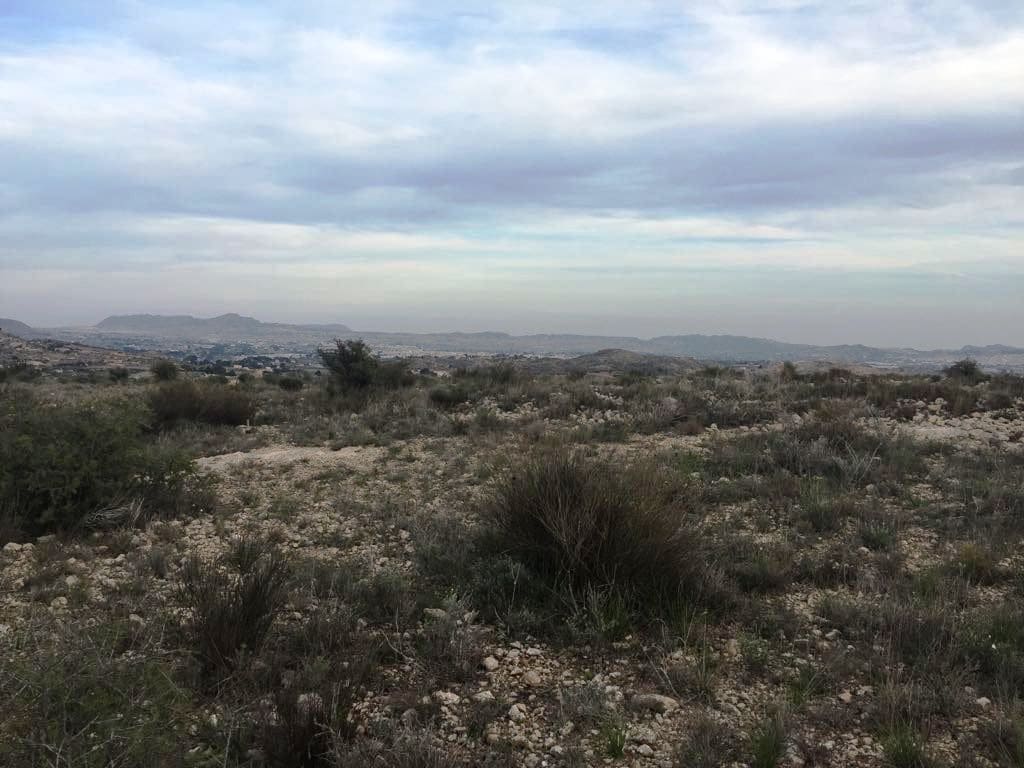 Building Plot for sale in Novelda - € 35,000 (Ref: 10060423)
