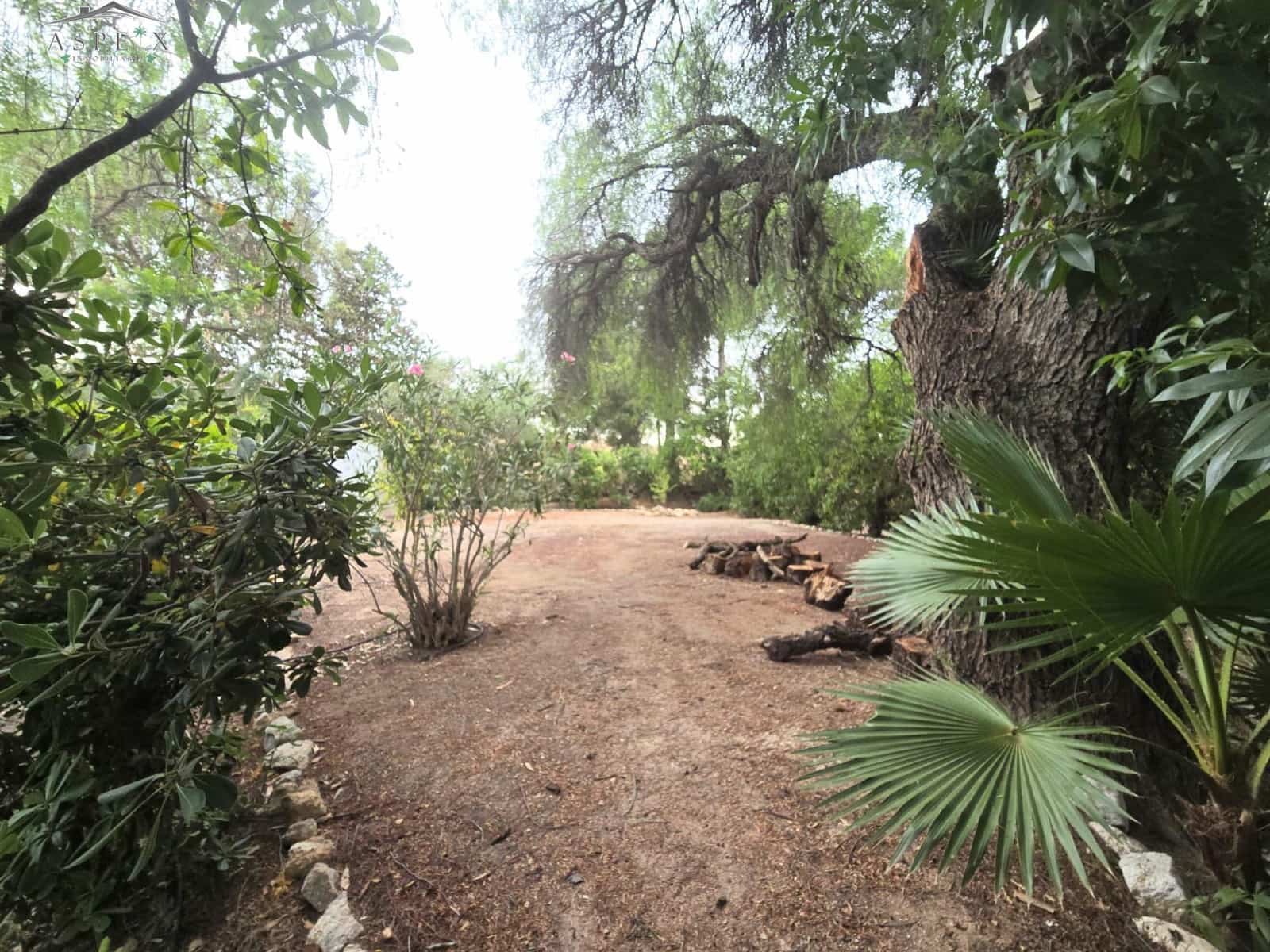 7 slaapkamer Finca/Landhuis te koop in Aspe met zwembad - € 400.000 (Ref: 10060426)