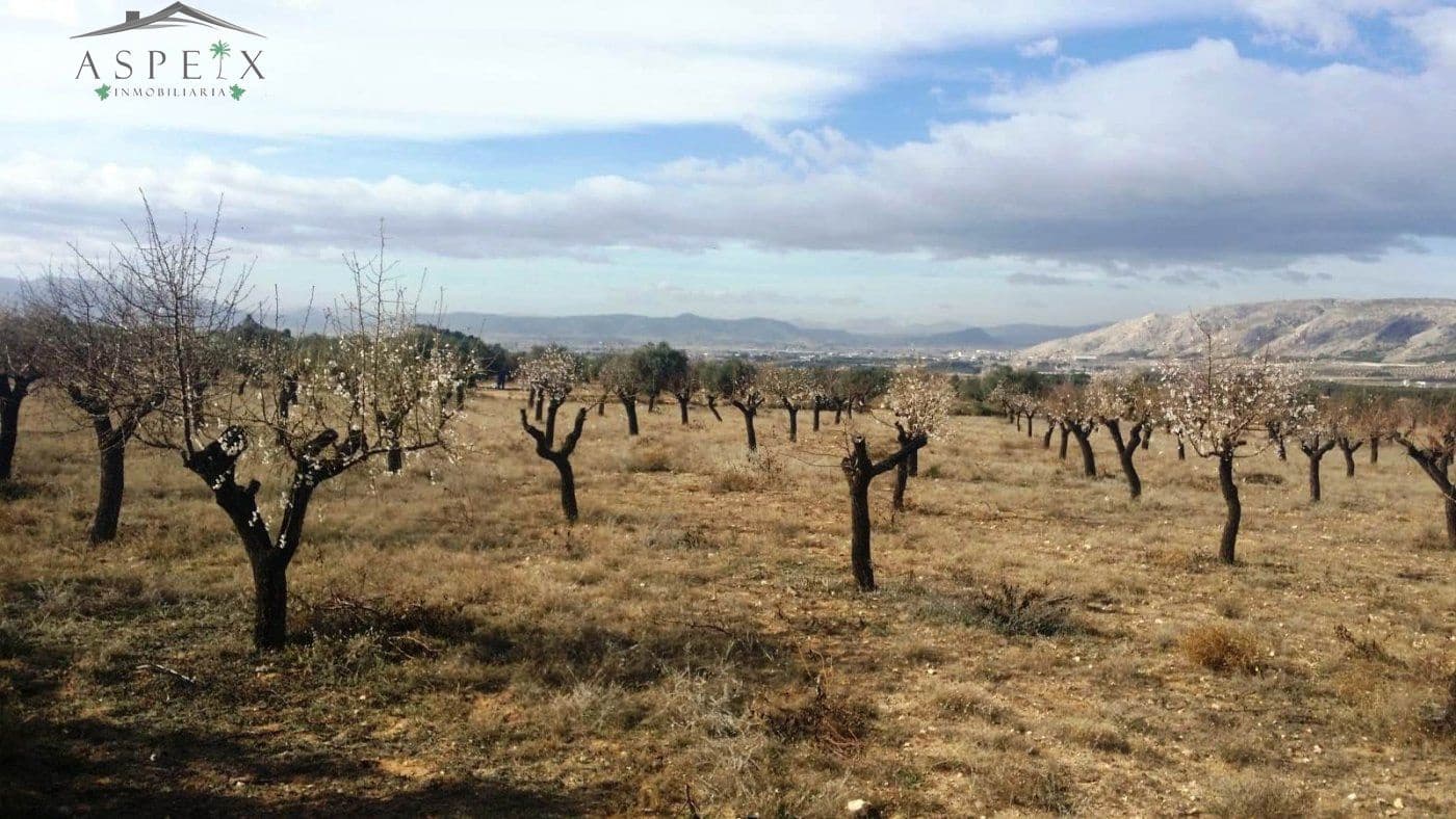 Solar/Parcela en Biar en venta - 61.000 € (Ref: 10060428)