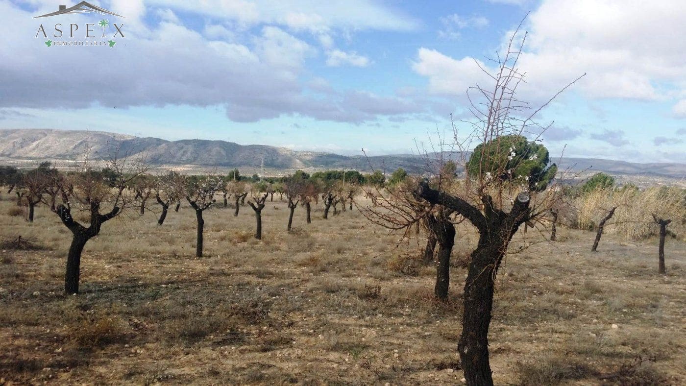 Solar/Parcela en Biar en venta - 61.000 € (Ref: 10060428)