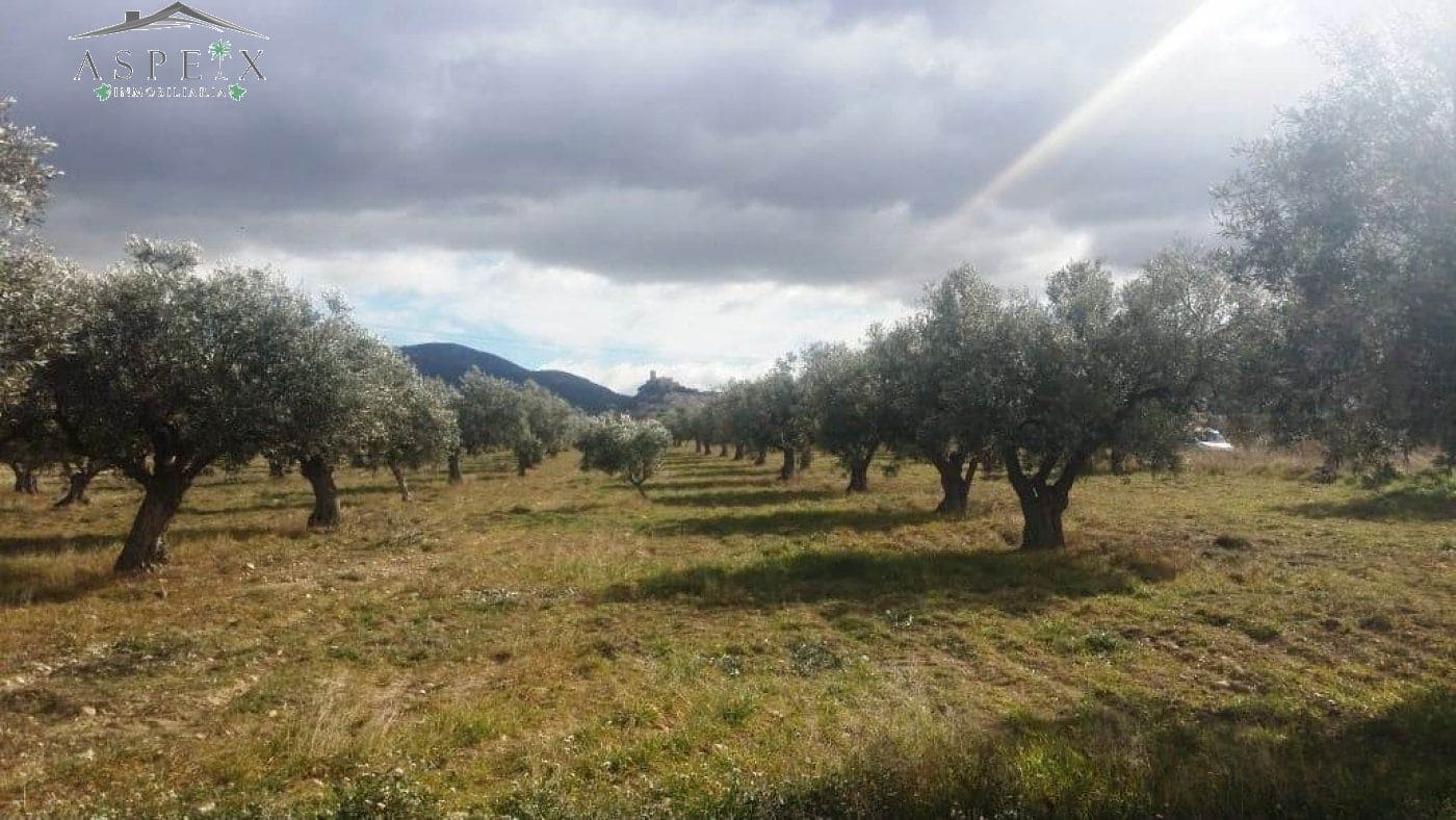 Terrain à Bâtir à vendre à Biar - 55 000 € (Ref: 10060429)