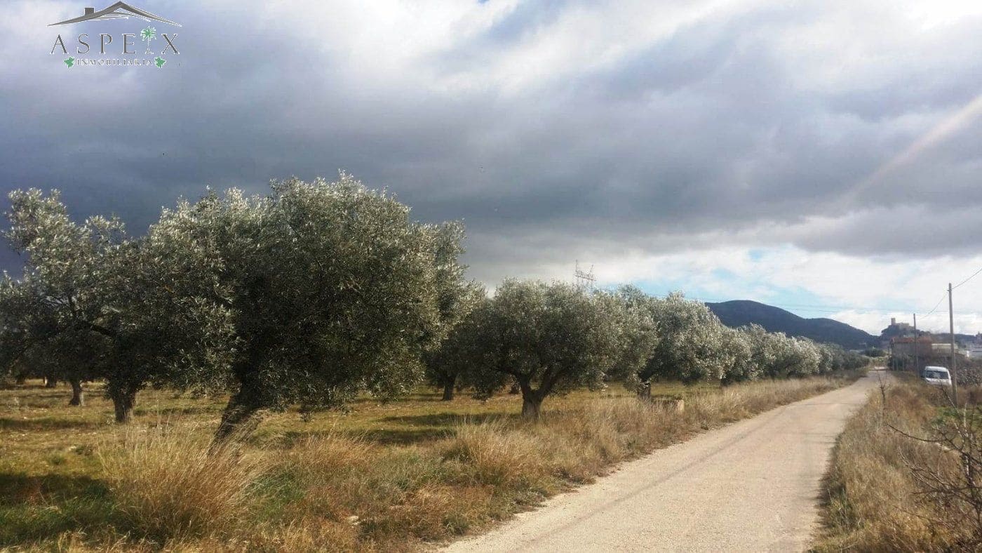 Terrain à Bâtir à vendre à Biar - 55 000 € (Ref: 10060429)