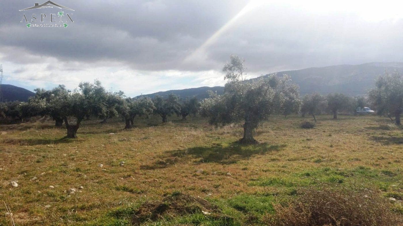 Terrain à Bâtir à vendre à Biar - 55 000 € (Ref: 10060429)