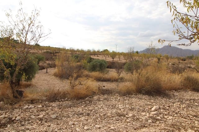 Bauplatz zu verkaufen in Hondón de los Frailes - 36.000 € (Ref: 10060437)
