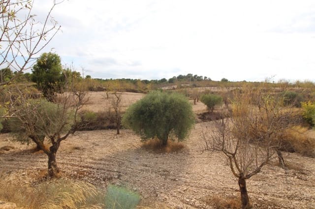 Bauplatz zu verkaufen in Hondón de los Frailes - 36.000 € (Ref: 10060437)