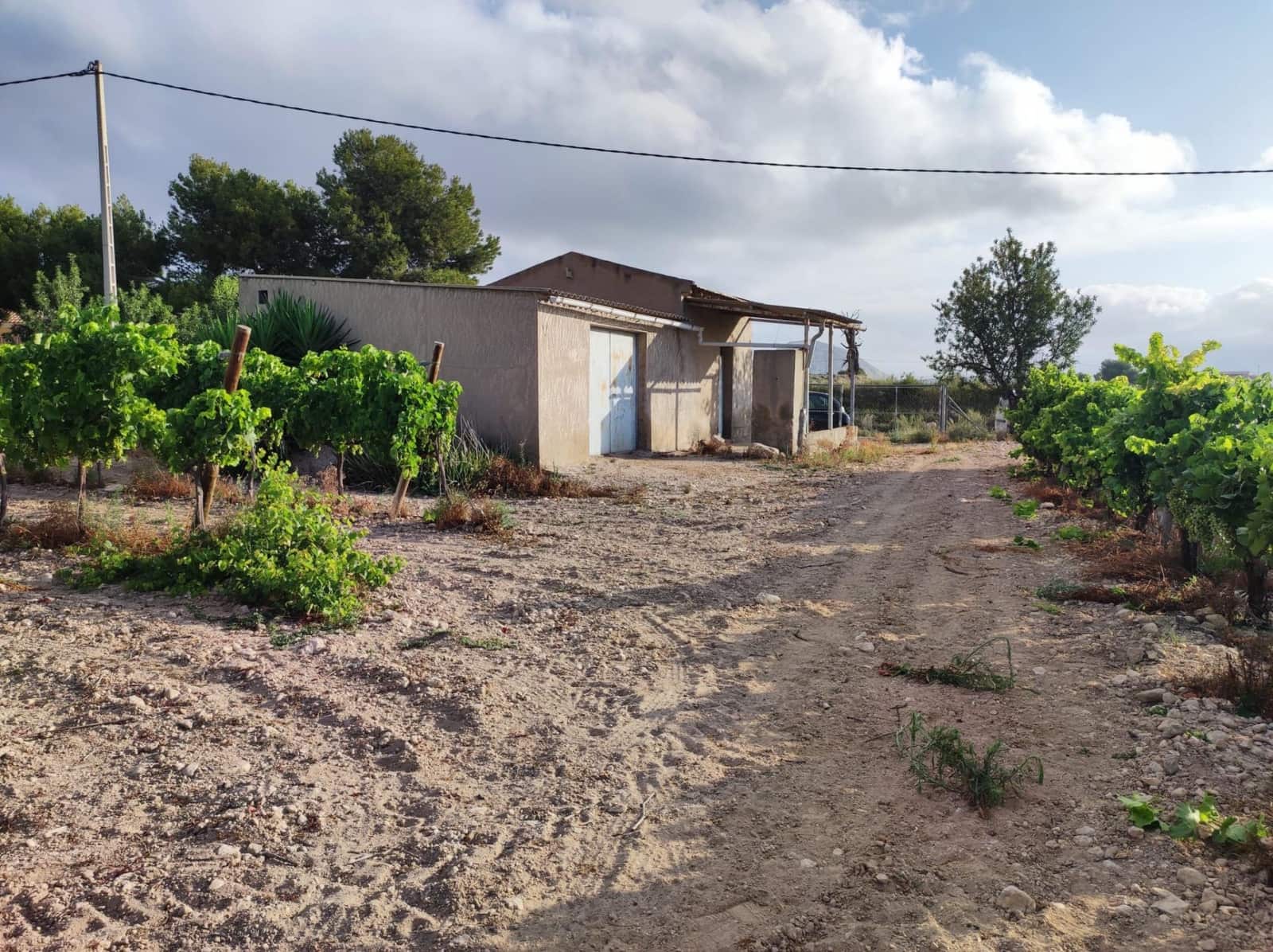Building Plot for sale in Novelda - € 79,000 (Ref: 10060442)