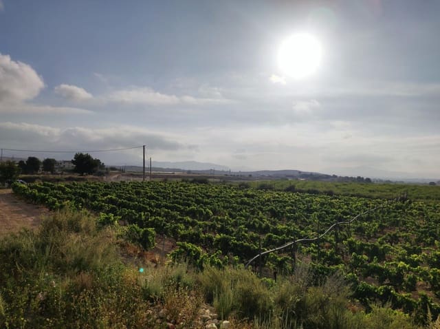 Building Plot for sale in Novelda - € 79,000 (Ref: 10060442)