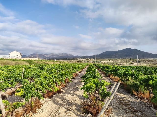 Building Plot for sale in Novelda - € 79,000 (Ref: 10060442)