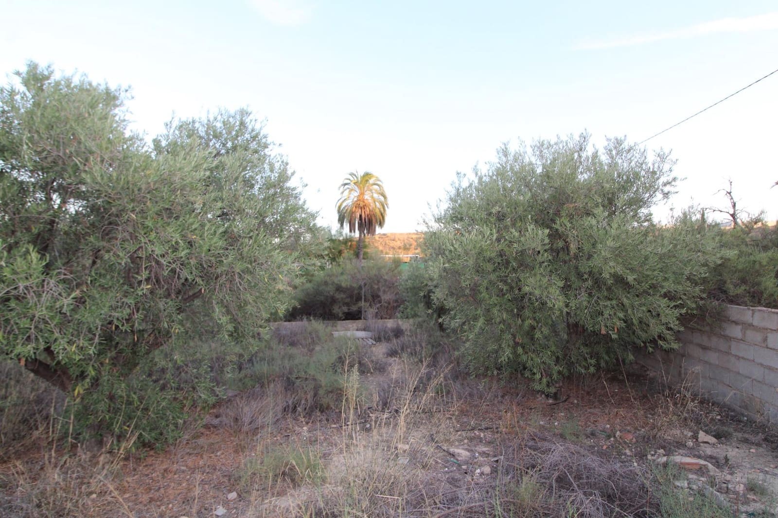 5 soverom Finca/Herregård til salgs i Elche / Elx med svømmebasseng garasje - € 260 000 (Ref: 10060443)
