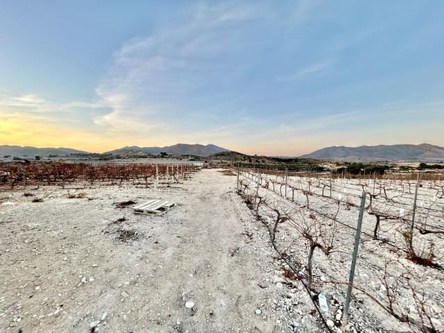 Building Plot for sale in Novelda - € 175,000 (Ref: 10060447)