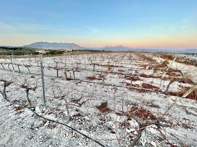 Building Plot for sale in Novelda - € 175,000 (Ref: 10060447)