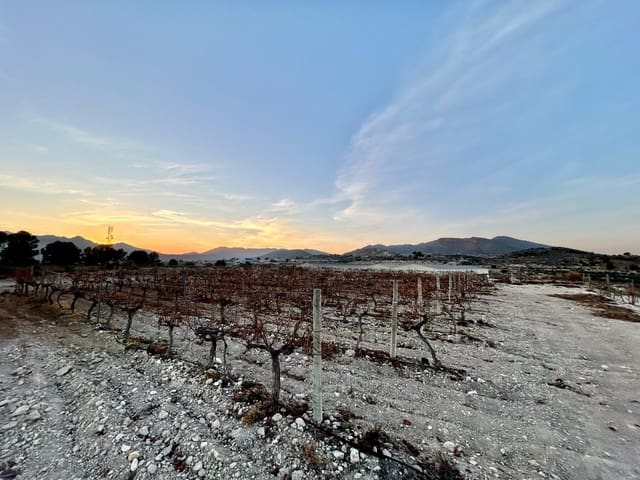 Building Plot for sale in Novelda - € 175,000 (Ref: 10060447)