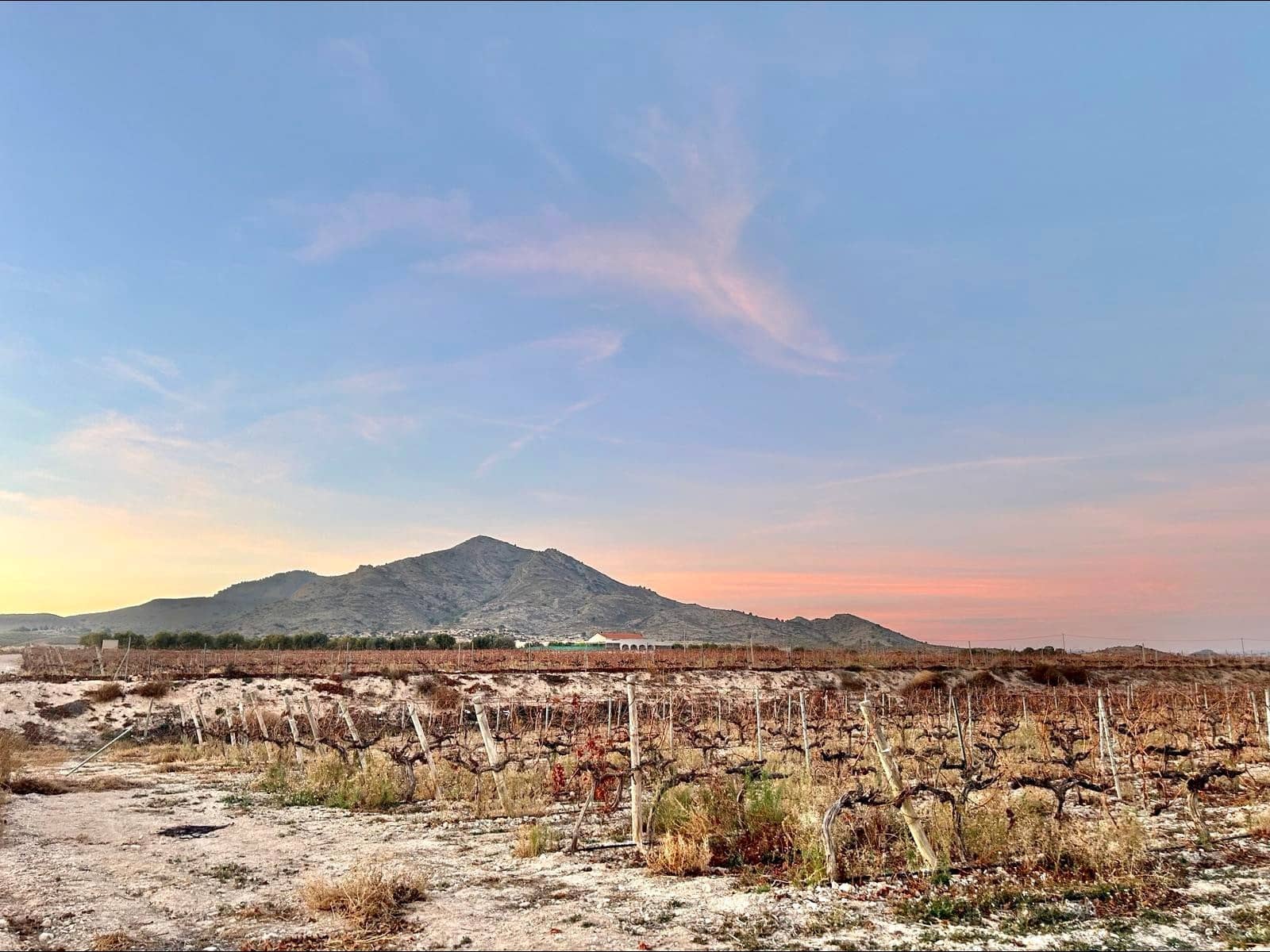 Building Plot for sale in Novelda - € 162,000 (Ref: 10060449)