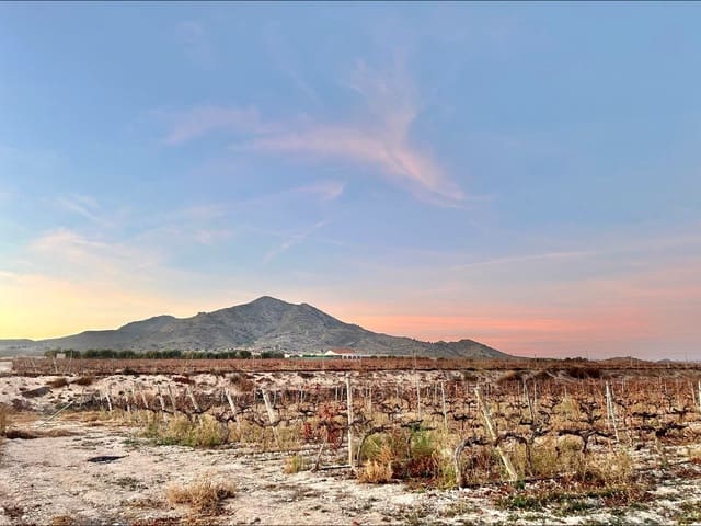 Building Plot for sale in Novelda - € 162,000 (Ref: 10060449)