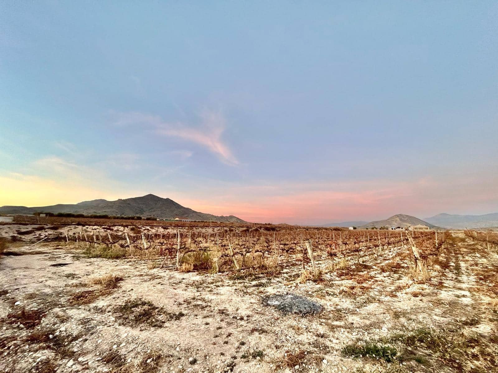 Building Plot for sale in Novelda - € 162,000 (Ref: 10060449)