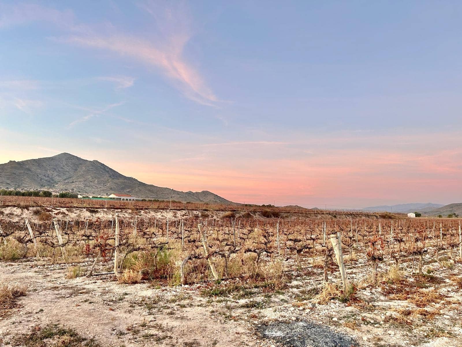 Building Plot for sale in Novelda - € 162,000 (Ref: 10060449)