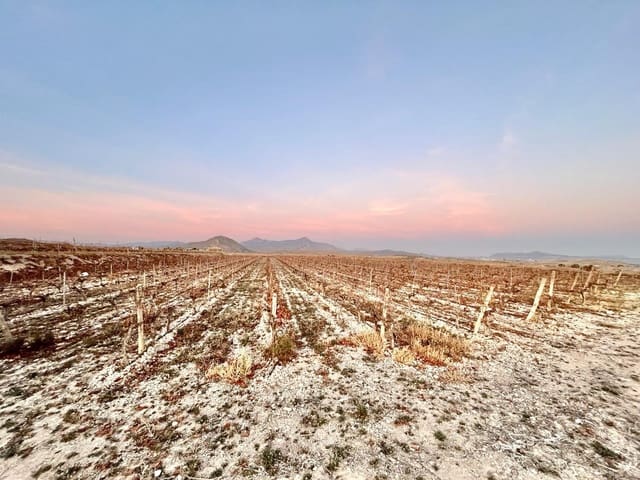 Building Plot for sale in Novelda - € 162,000 (Ref: 10060449)