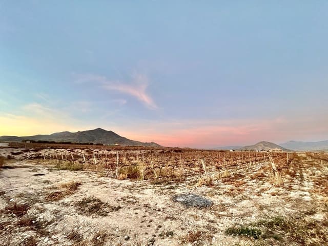 Building Plot for sale in Novelda - € 162,000 (Ref: 10060449)
