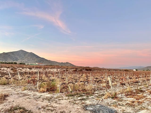 Building Plot for sale in Novelda - € 162,000 (Ref: 10060449)