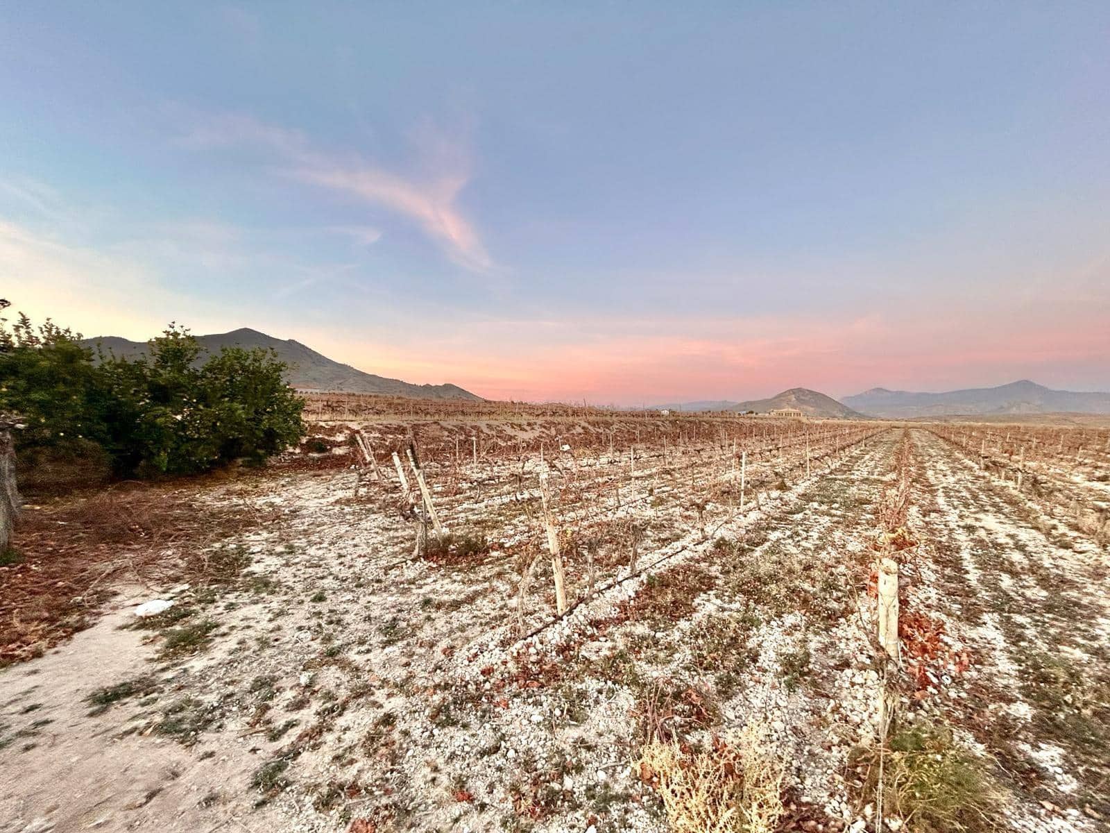 Building Plot for sale in Novelda - € 162,000 (Ref: 10060449)