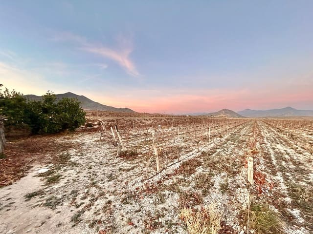 Building Plot for sale in Novelda - € 162,000 (Ref: 10060449)