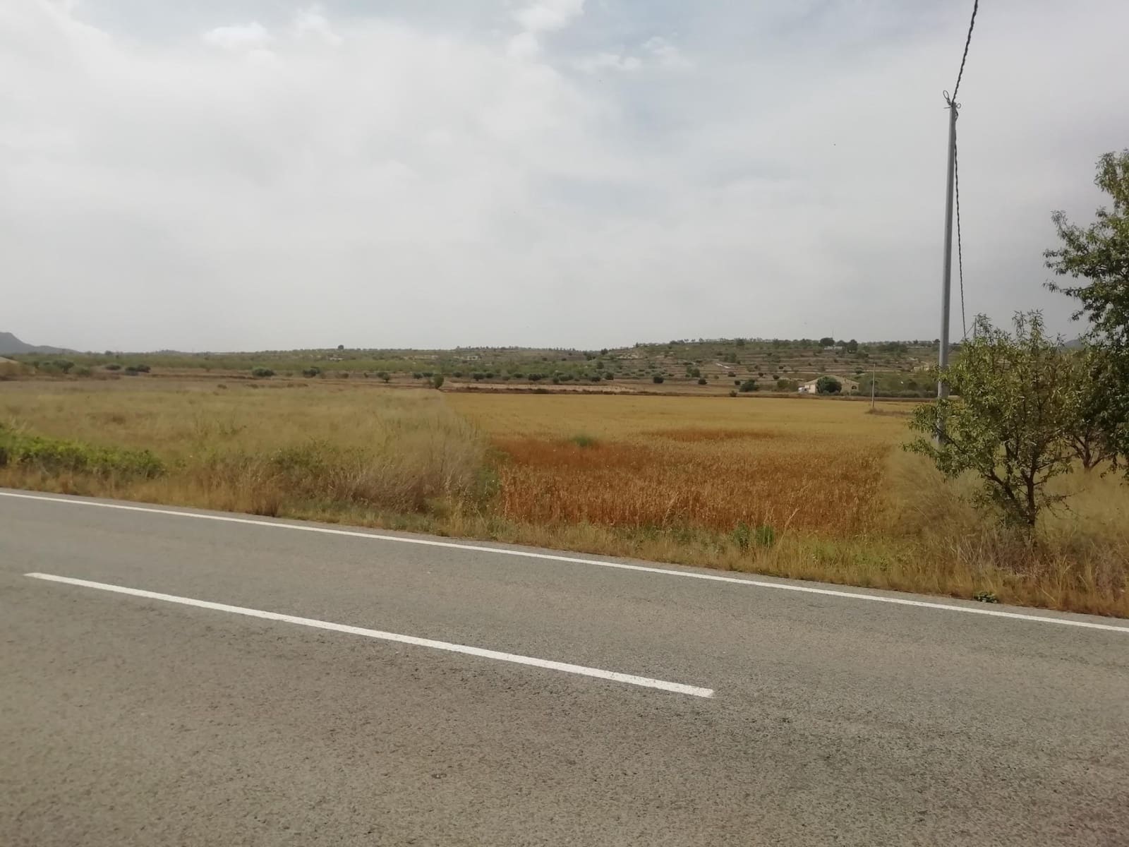 Byggegrund til salg i Orihuela - € 37.000 (Ref: 10060451)