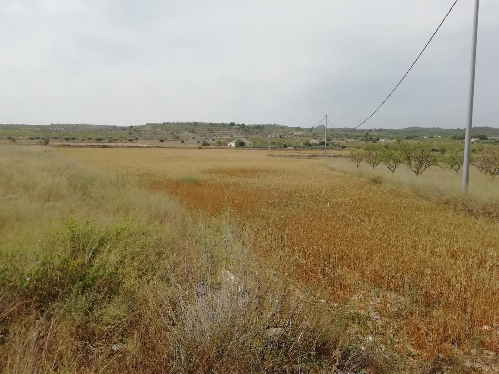 Byggegrund til salg i Orihuela - € 37.000 (Ref: 10060451)