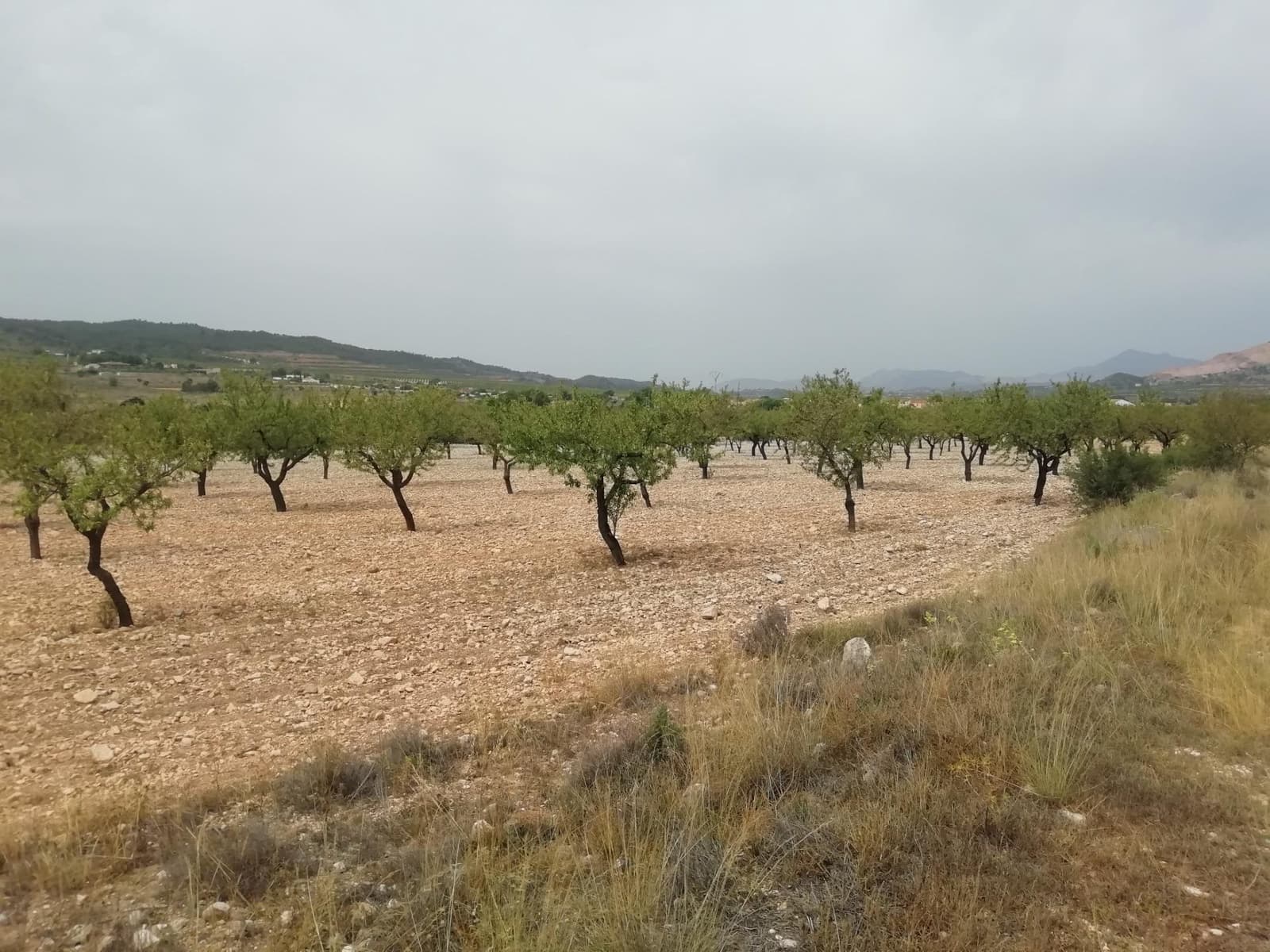 Solar/Parcela en Orihuela en venta - 50.000 € (Ref: 10060452)