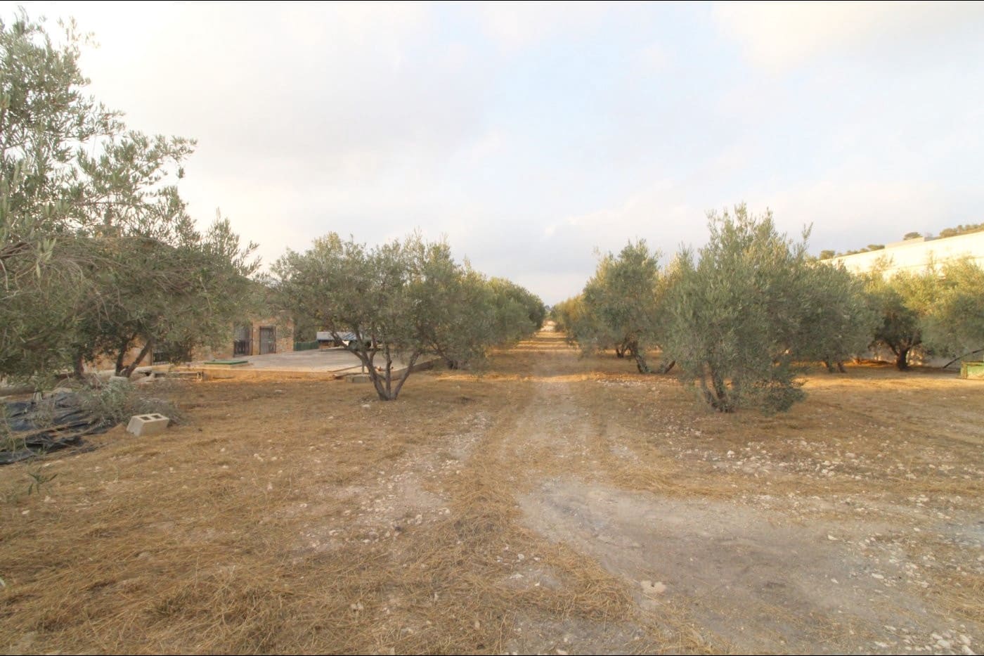 4 chambre Finca/Maison de Campagne à vendre à La Romana avec piscine garage - 350 000 € (Ref: 10060455)