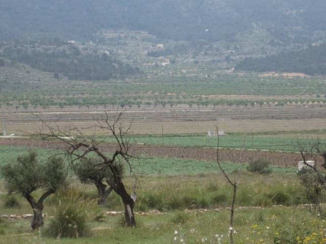 Area Edificabile in vendita in Hondón de las Nieves - 14.000 € (Rif: 10060461)