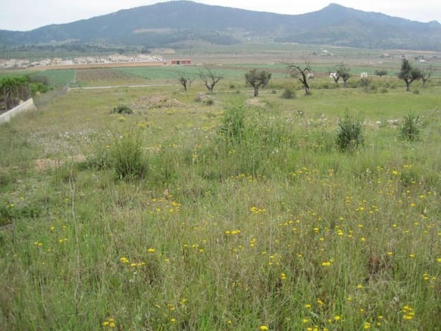 Area Edificabile in vendita in Hondón de las Nieves - 14.000 € (Rif: 10060461)
