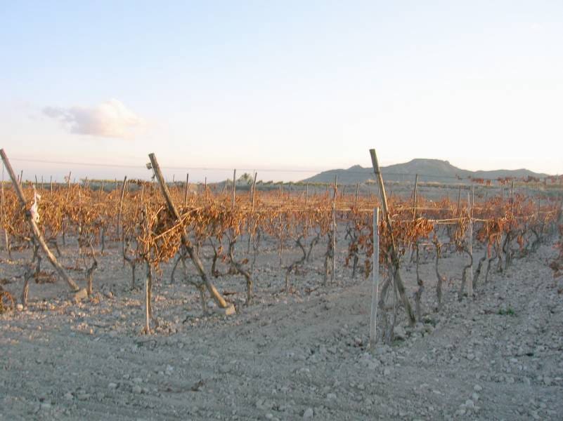 Building Plot for sale in Novelda - € 38,000 (Ref: 10060462)