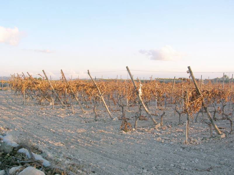 Building Plot for sale in Novelda - € 38,000 (Ref: 10060462)