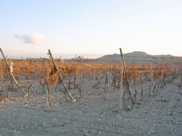 Building Plot for sale in Novelda - € 38,000 (Ref: 10060462)