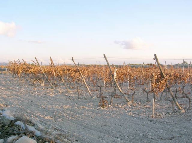 Building Plot for sale in Novelda - € 38,000 (Ref: 10060462)