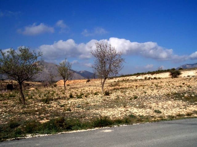 Bauplatz zu verkaufen in Hondón de los Frailes - 10.000 € (Ref: 10060463)