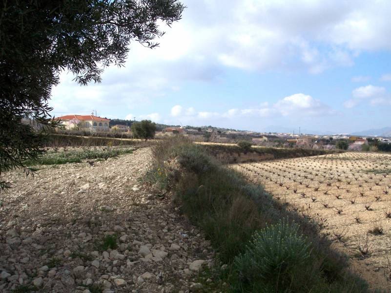 Area Edificabile in vendita in Hondon de los Frailes - 65.000 € (Rif: 10060464)