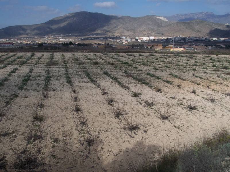 Area Edificabile in vendita in Hondon de los Frailes - 65.000 € (Rif: 10060464)