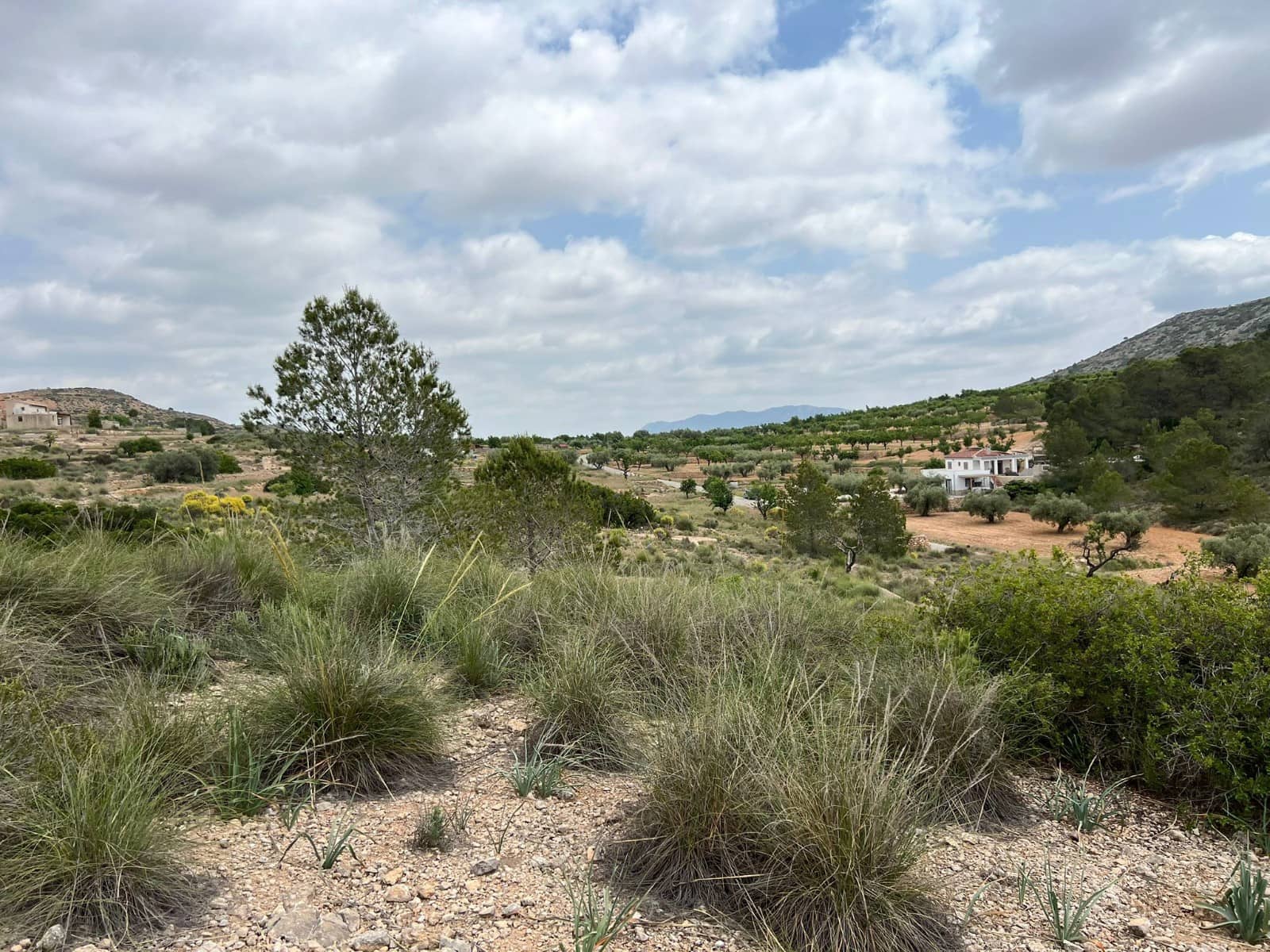 Area Edificabile in vendita in Hondon de las Nieves - 45.000 € (Rif: 10060479)