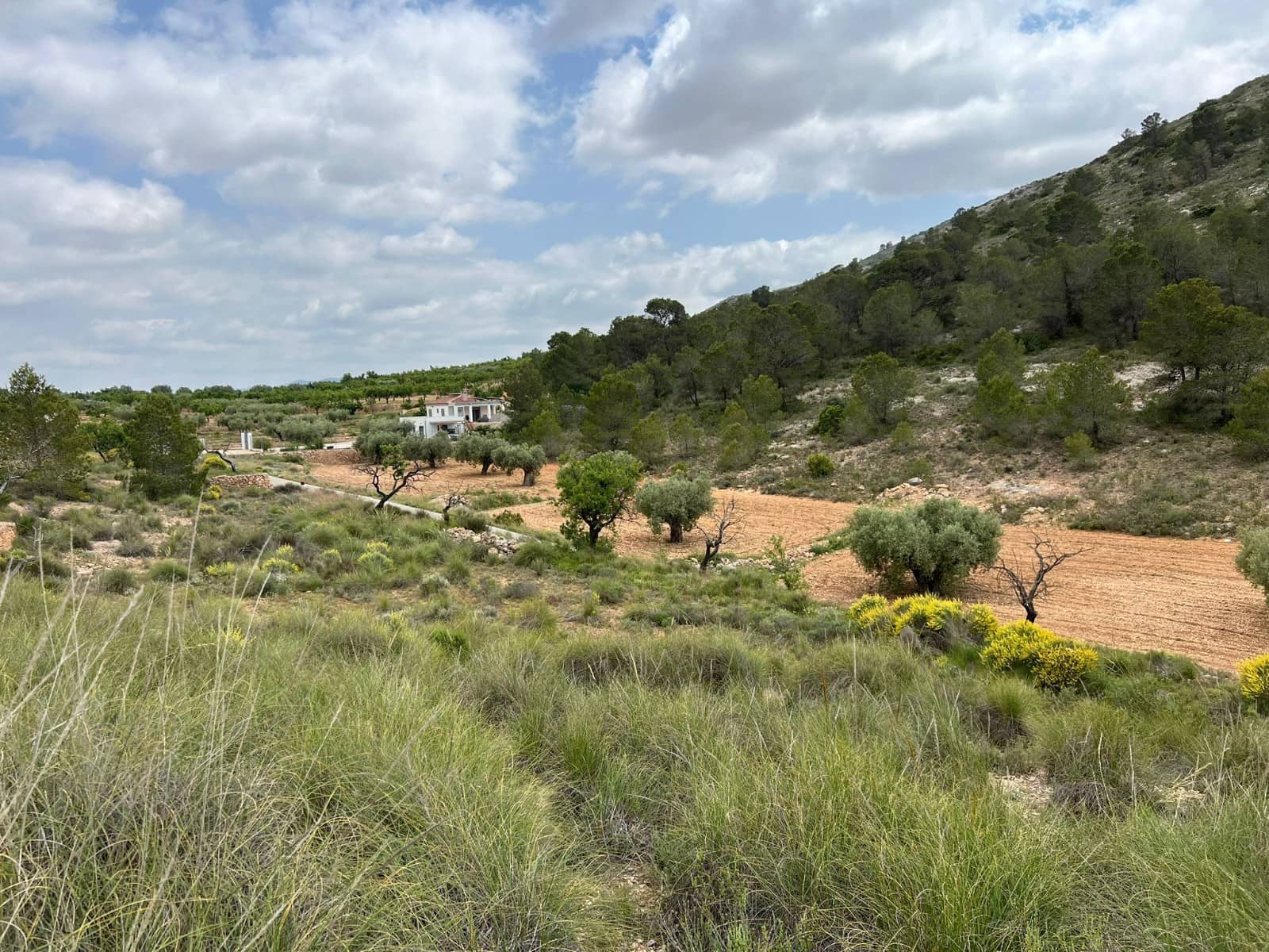 Area Edificabile in vendita in Hondon de las Nieves - 45.000 € (Rif: 10060479)