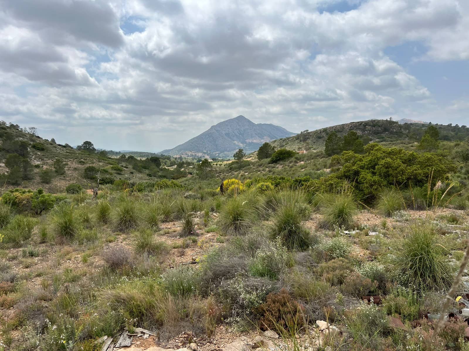 Area Edificabile in vendita in Hondon de las Nieves - 45.000 € (Rif: 10060479)