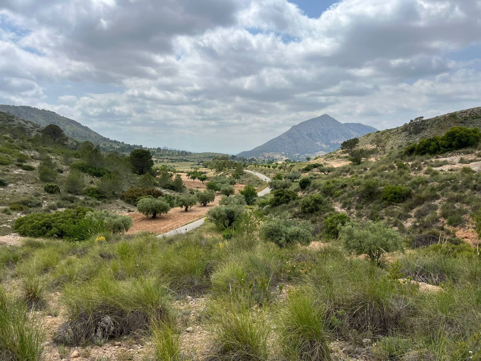 Area Edificabile in vendita in Hondon de las Nieves - 45.000 € (Rif: 10060479)