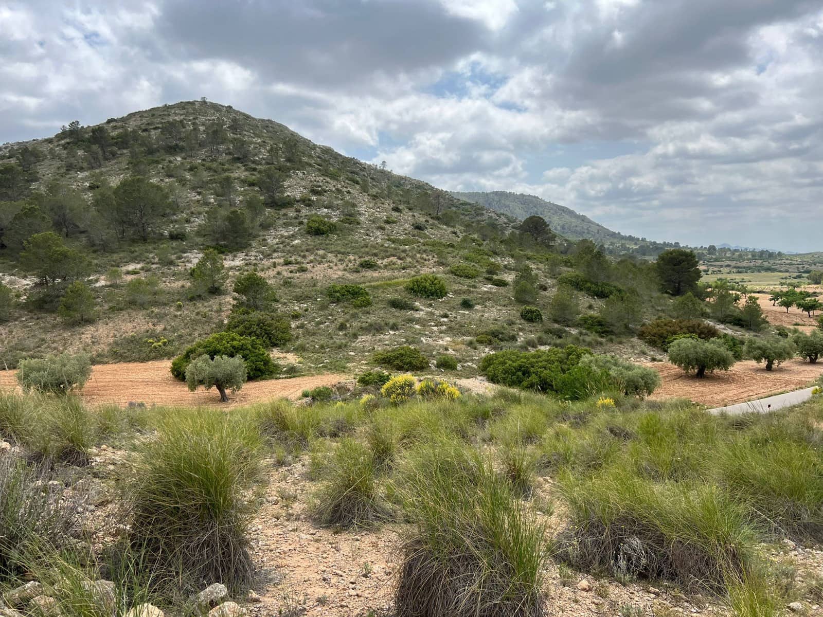 Area Edificabile in vendita in Hondon de las Nieves - 45.000 € (Rif: 10060479)
